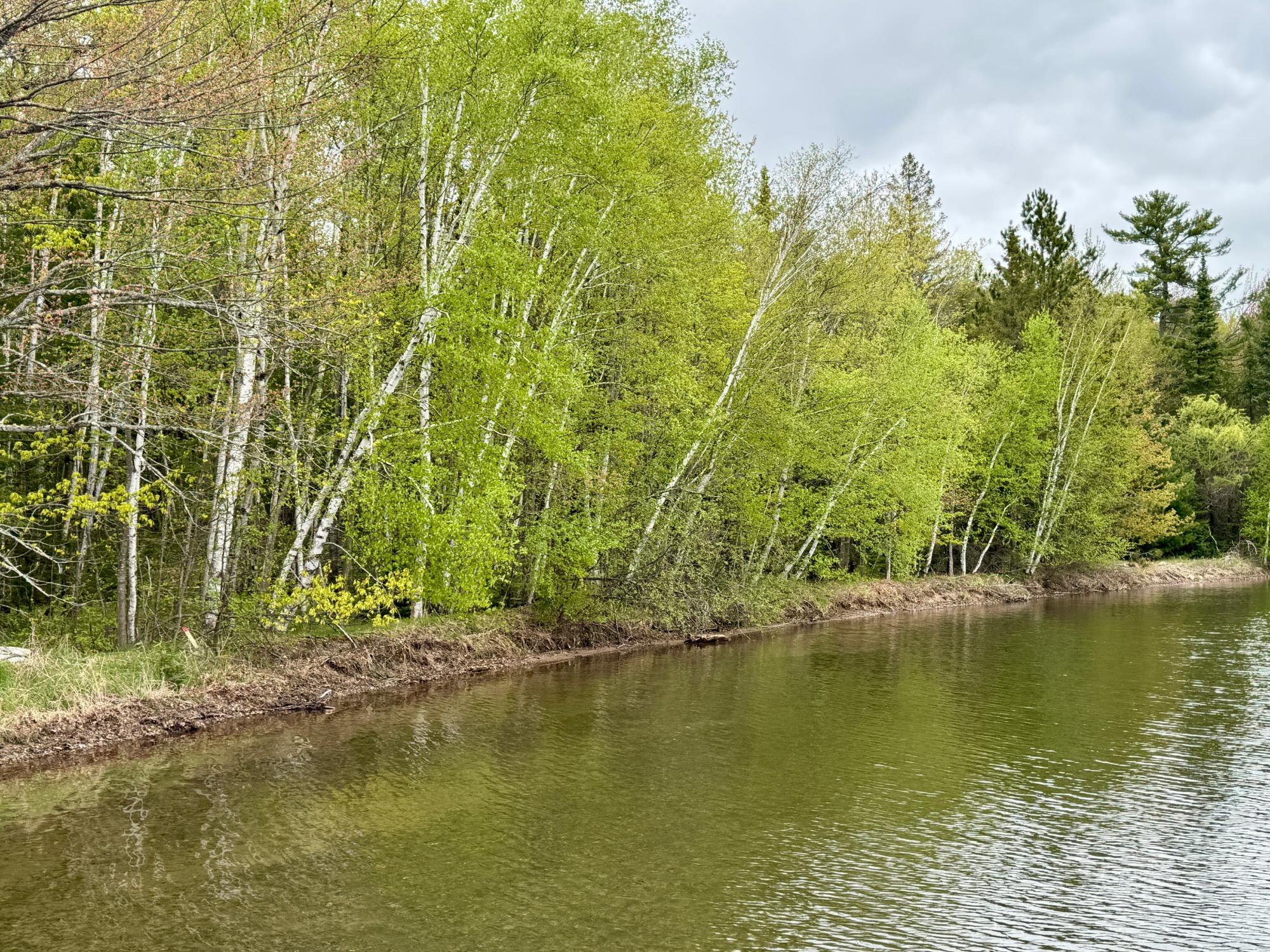 Butternut Lake Property 15042 Lakeview Rd Photo 3