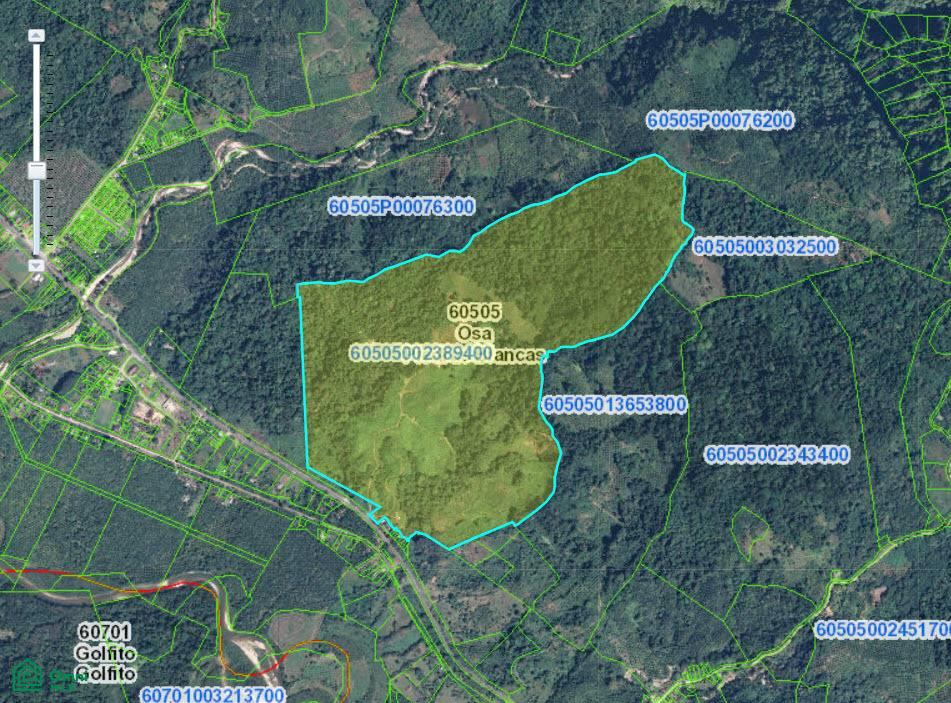 0 bed Land For Sale in Osa, Puntarenas - 1