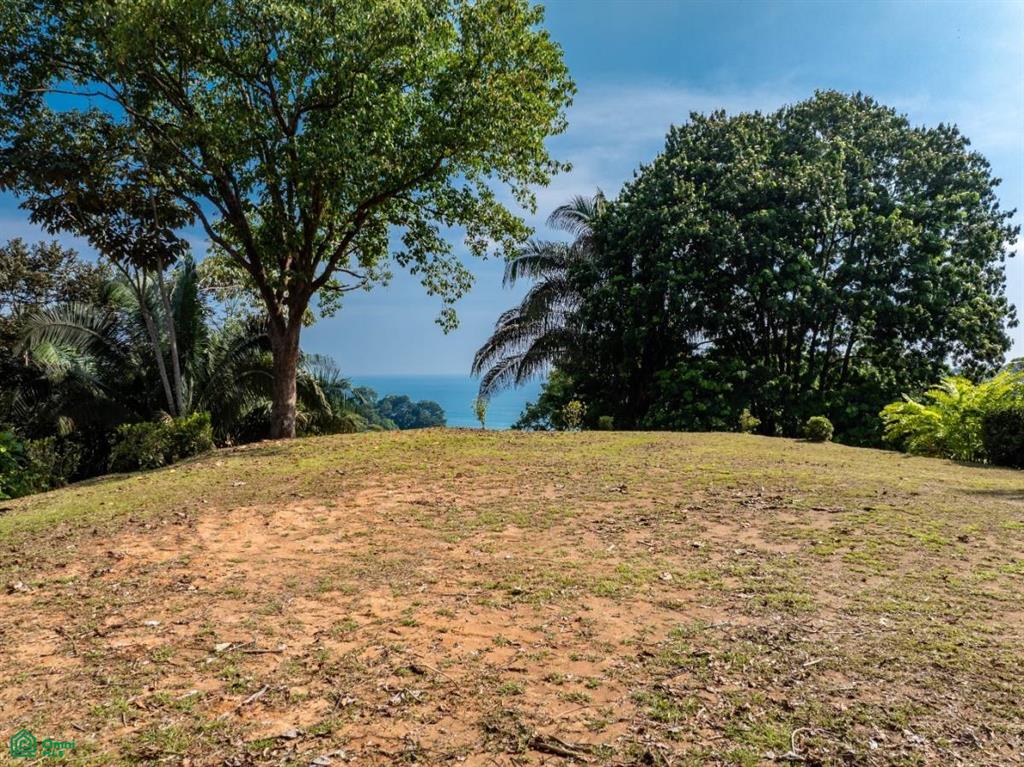 0 bed Land For Sale in Osa, Puntarenas - 1