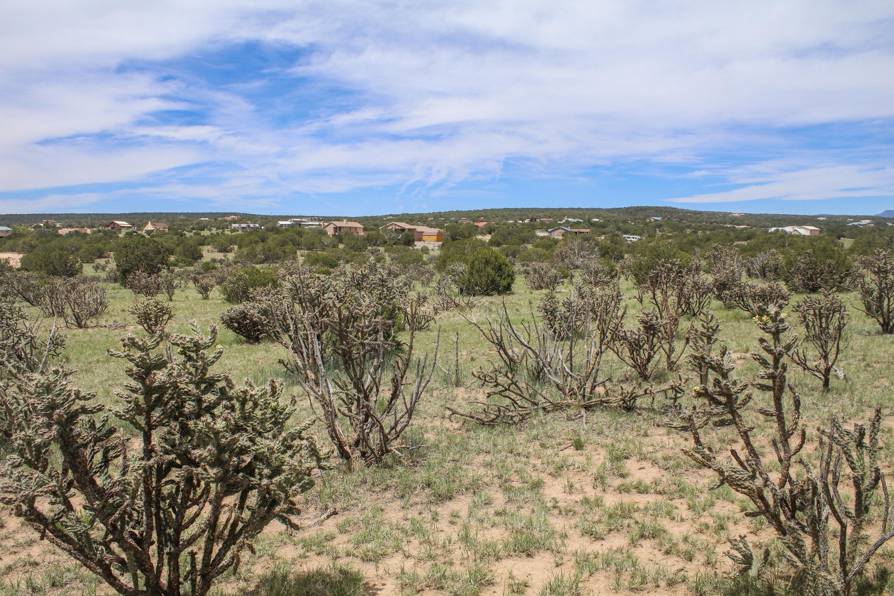 Homes for sale in Edgewood, NM | 5 Taluca Ct, Edgewood, NM 87015 | MLS# 1084825