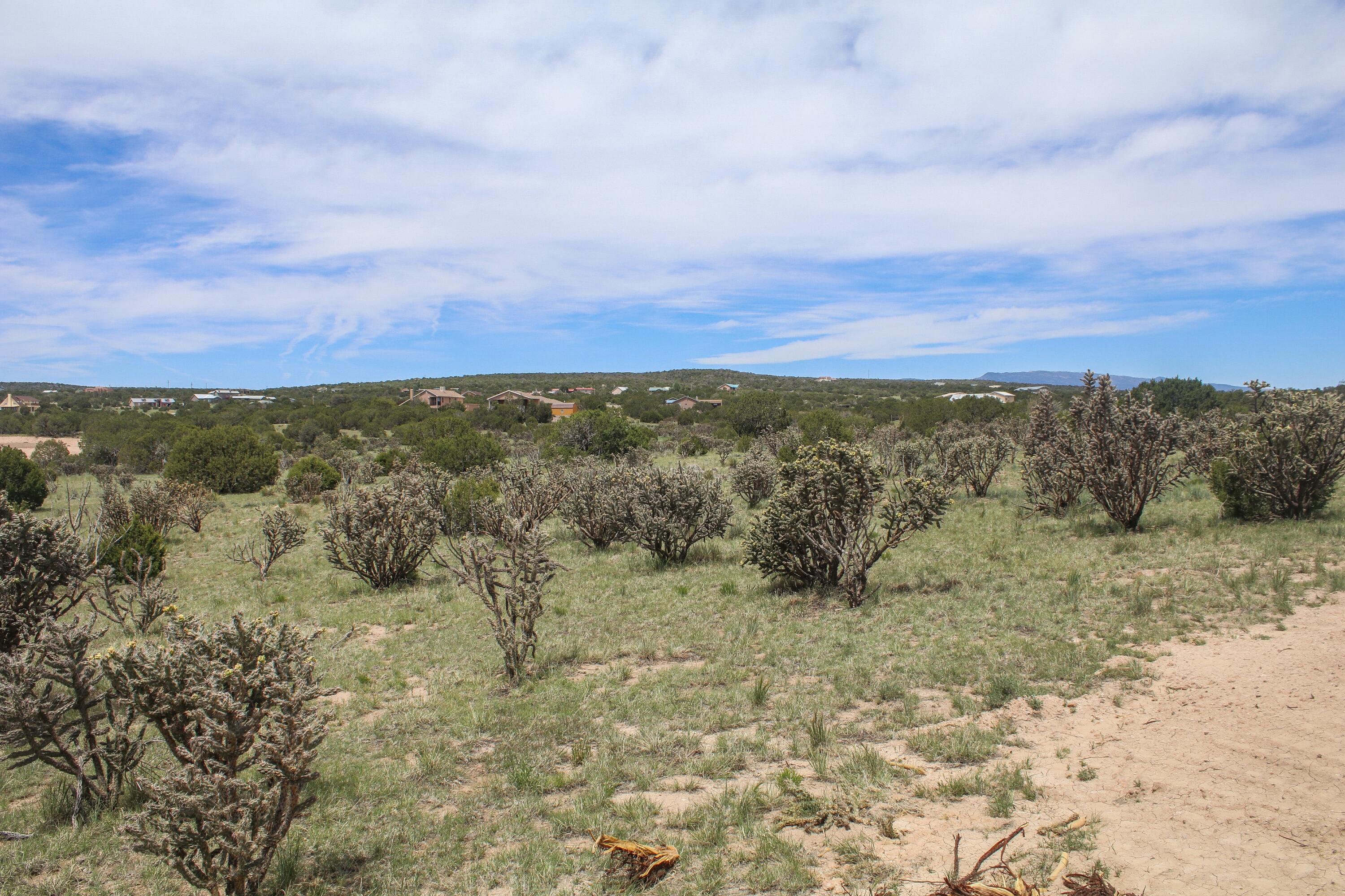 Homes for sale in Edgewood, NM | 5 Taluca Ct, Edgewood, NM 87015 | MLS# 1084825