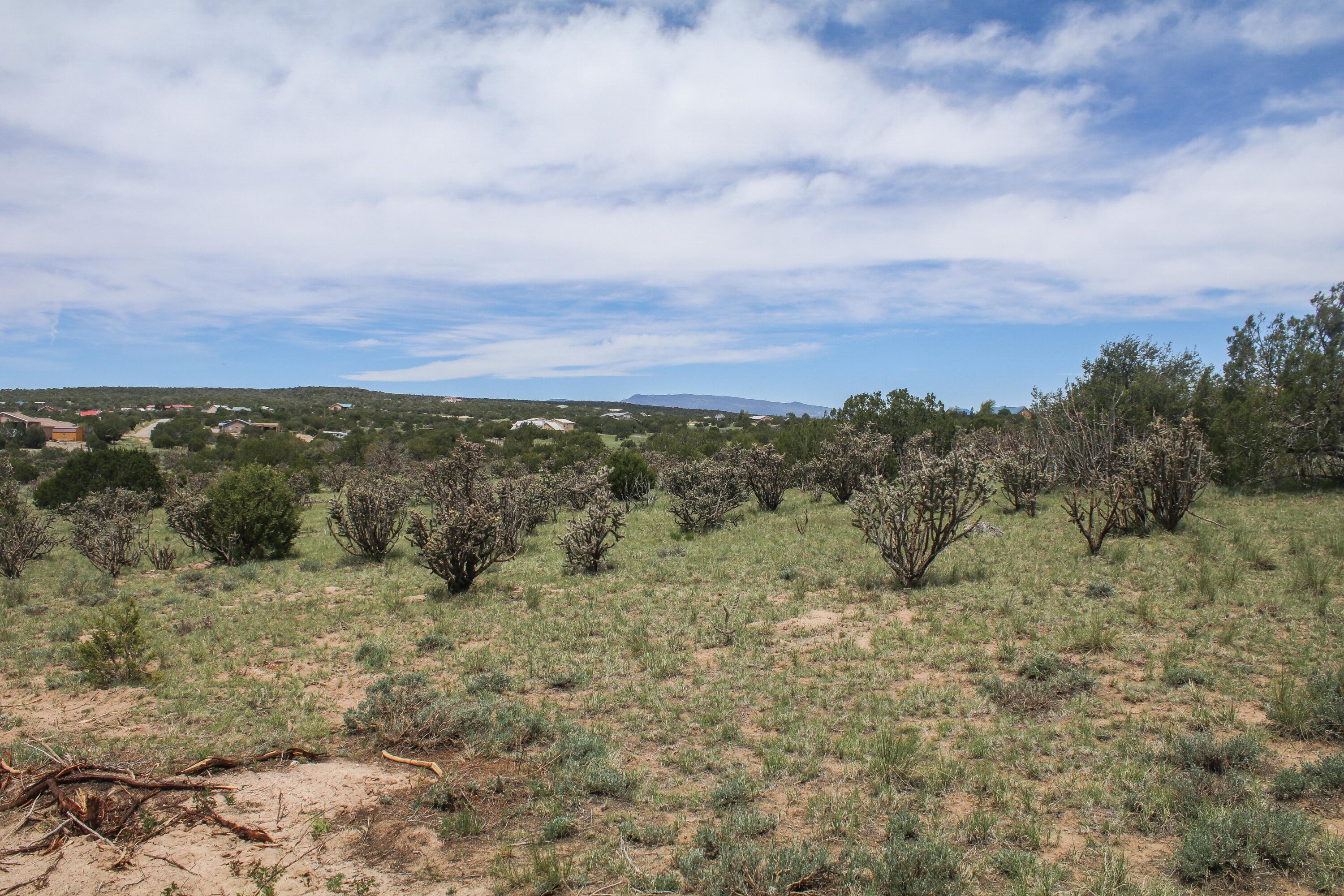 Homes for sale in Edgewood, NM | 5 Taluca Ct, Edgewood, NM 87015 | MLS# 1084825