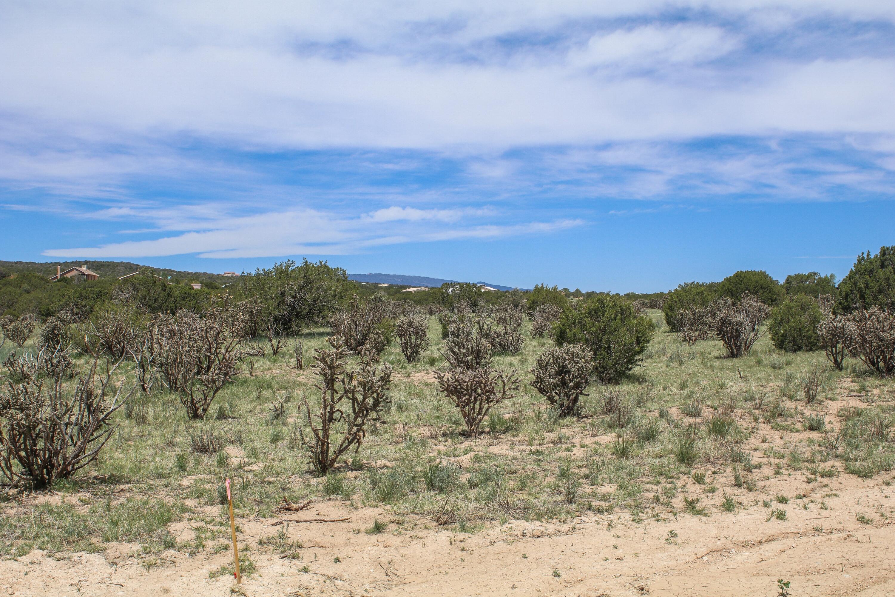 Homes for sale in Edgewood, NM | 1 Taluca Ct, Edgewood, NM 87015 | MLS# 1084826