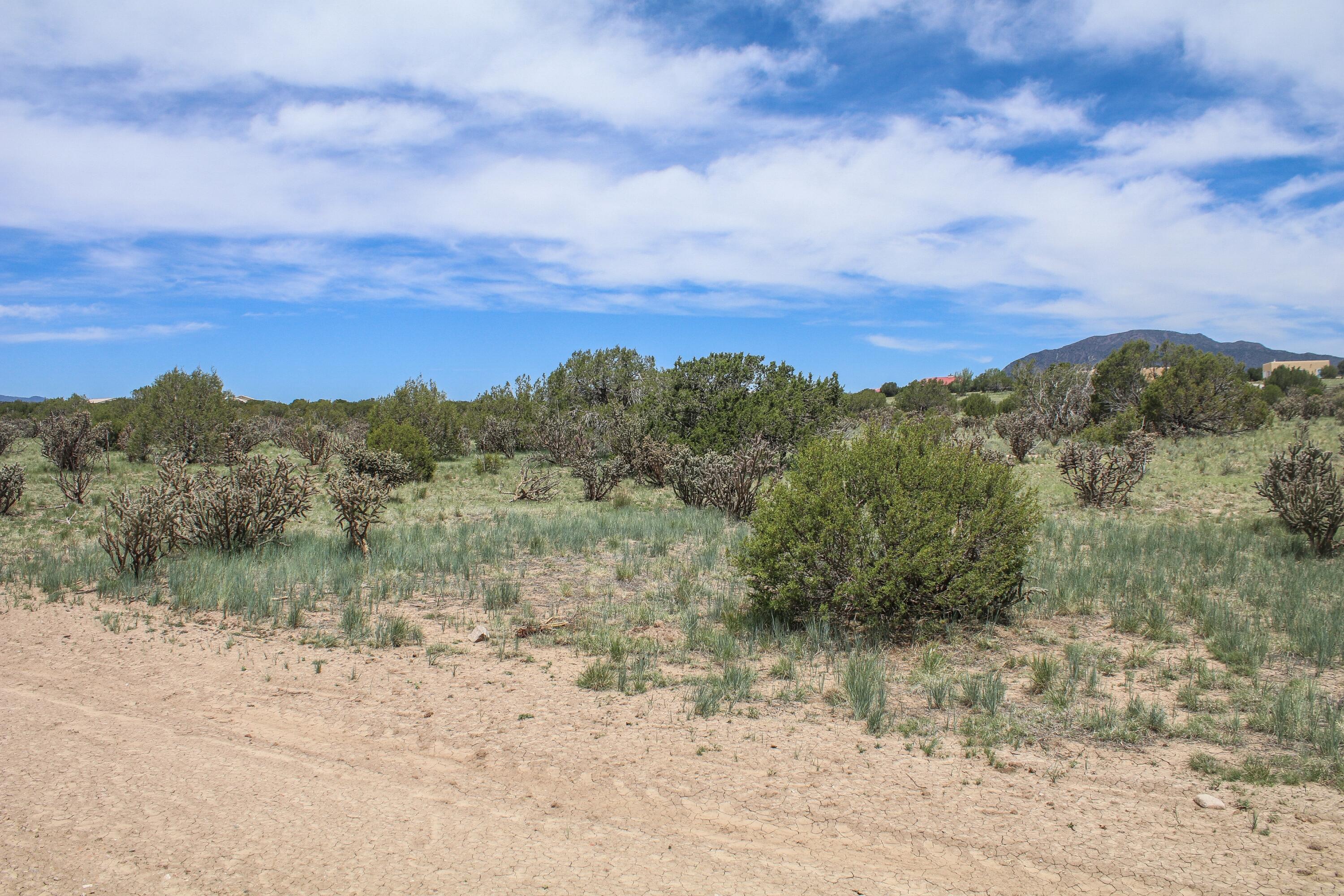 Homes for sale in Edgewood, NM | 16 Neighborly Way, Edgewood, NM 87015 | MLS# 1084830