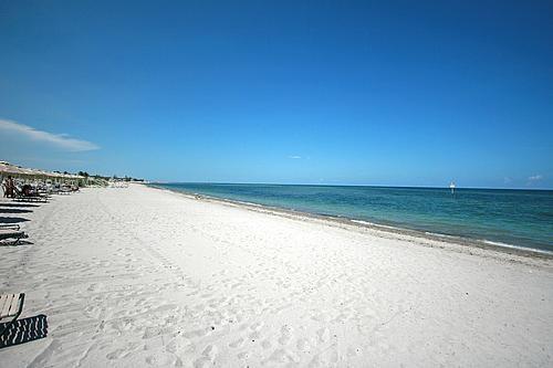 Condo for Sale in Key Biscayne, FL