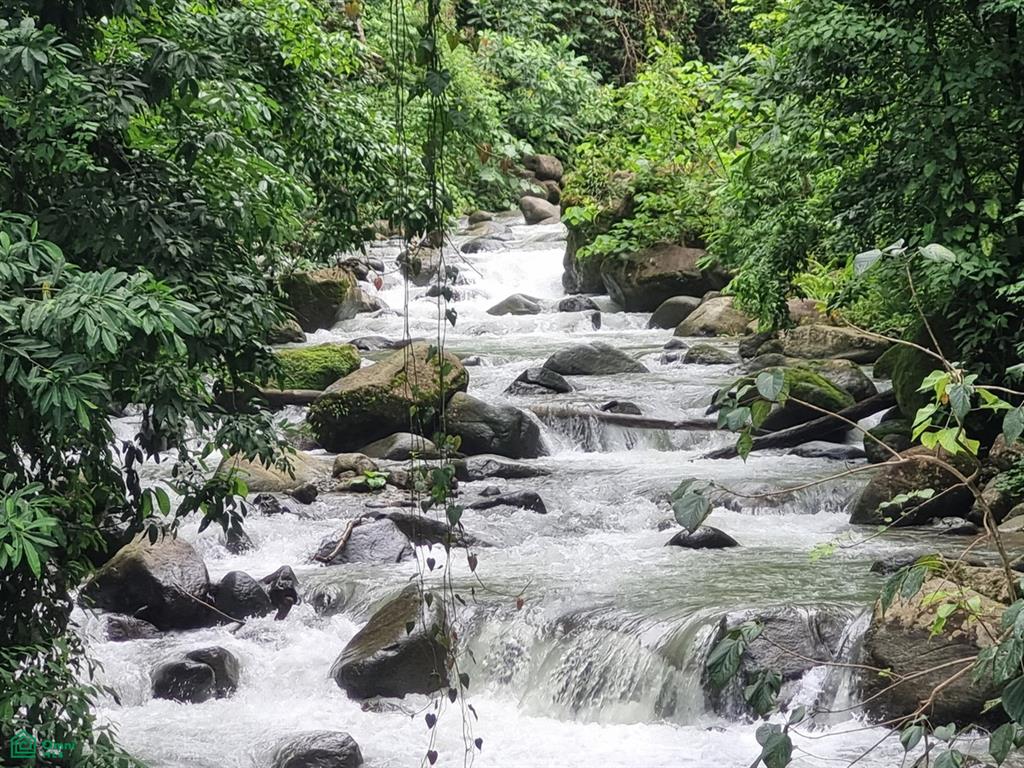 0 bed Land For Sale in Osa, Puntarenas - 1
