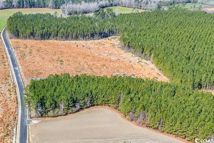 4791 Grainger Circle Green Sea, SC 29545