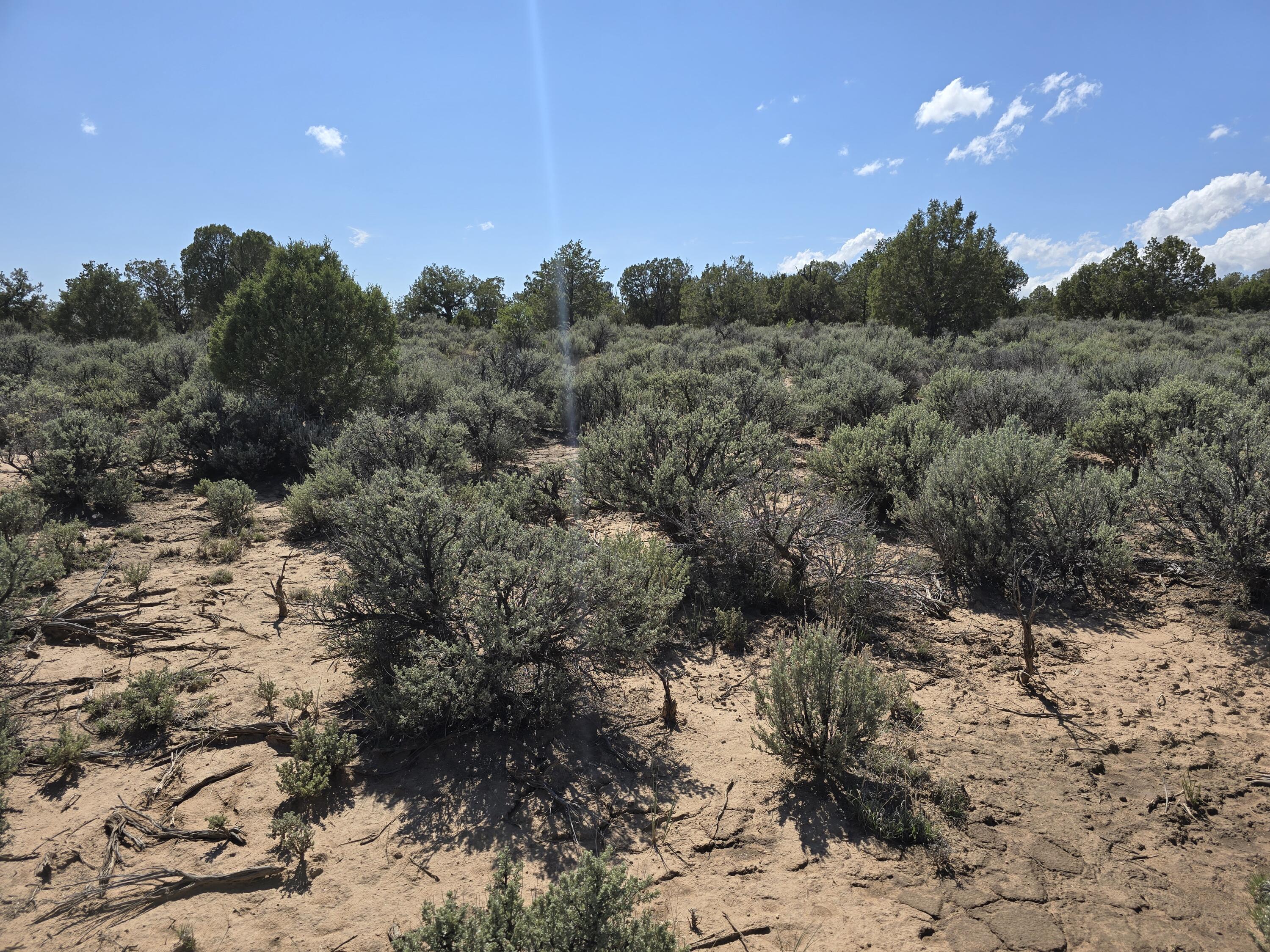 Homes for sale in Dulce, NM | Us 64, Dulce, NM 87528 | MLS# 1084964