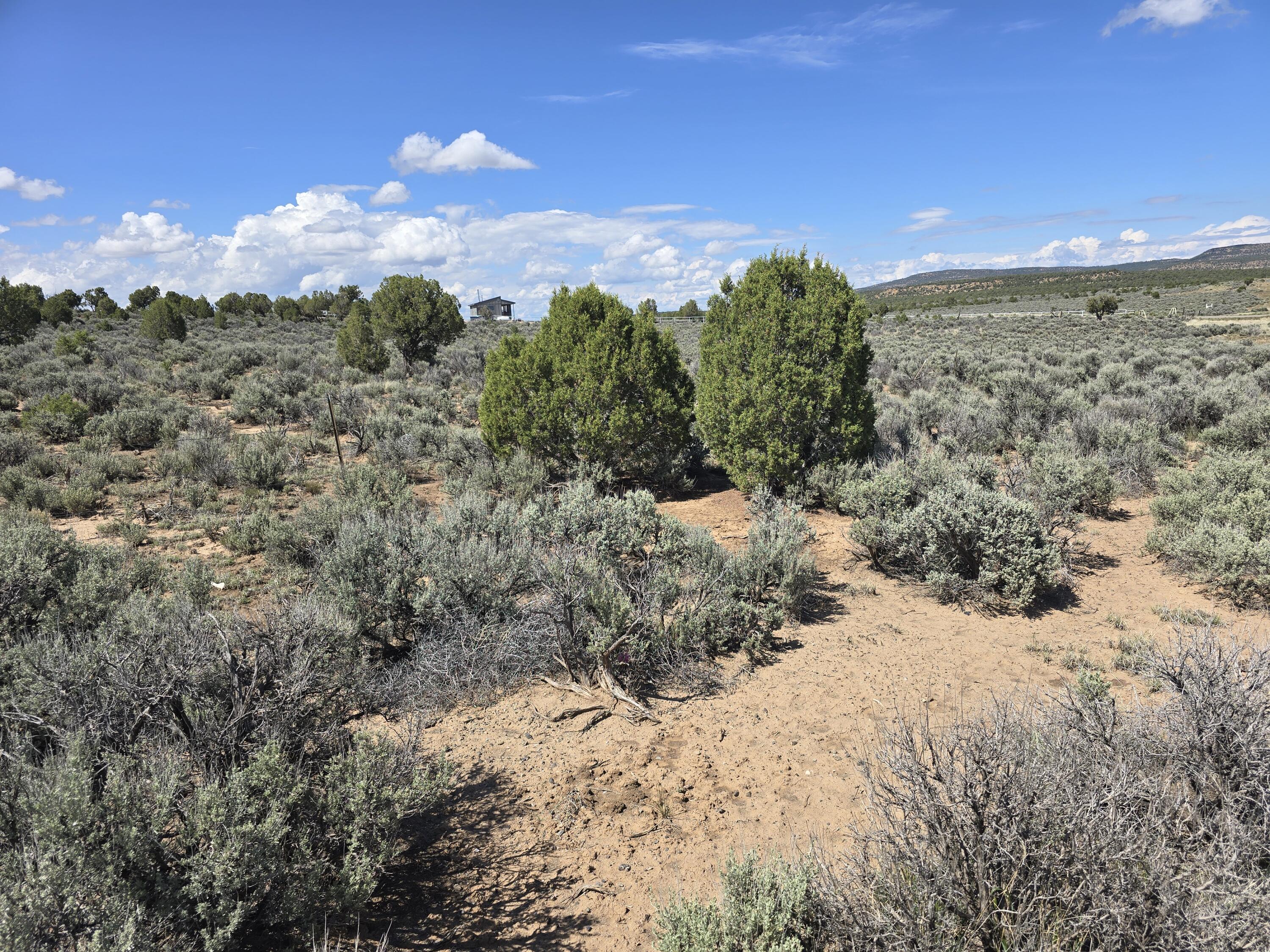 Homes for sale in Dulce, NM | Us-64, Dulce, NM 87528 | MLS# 1084964