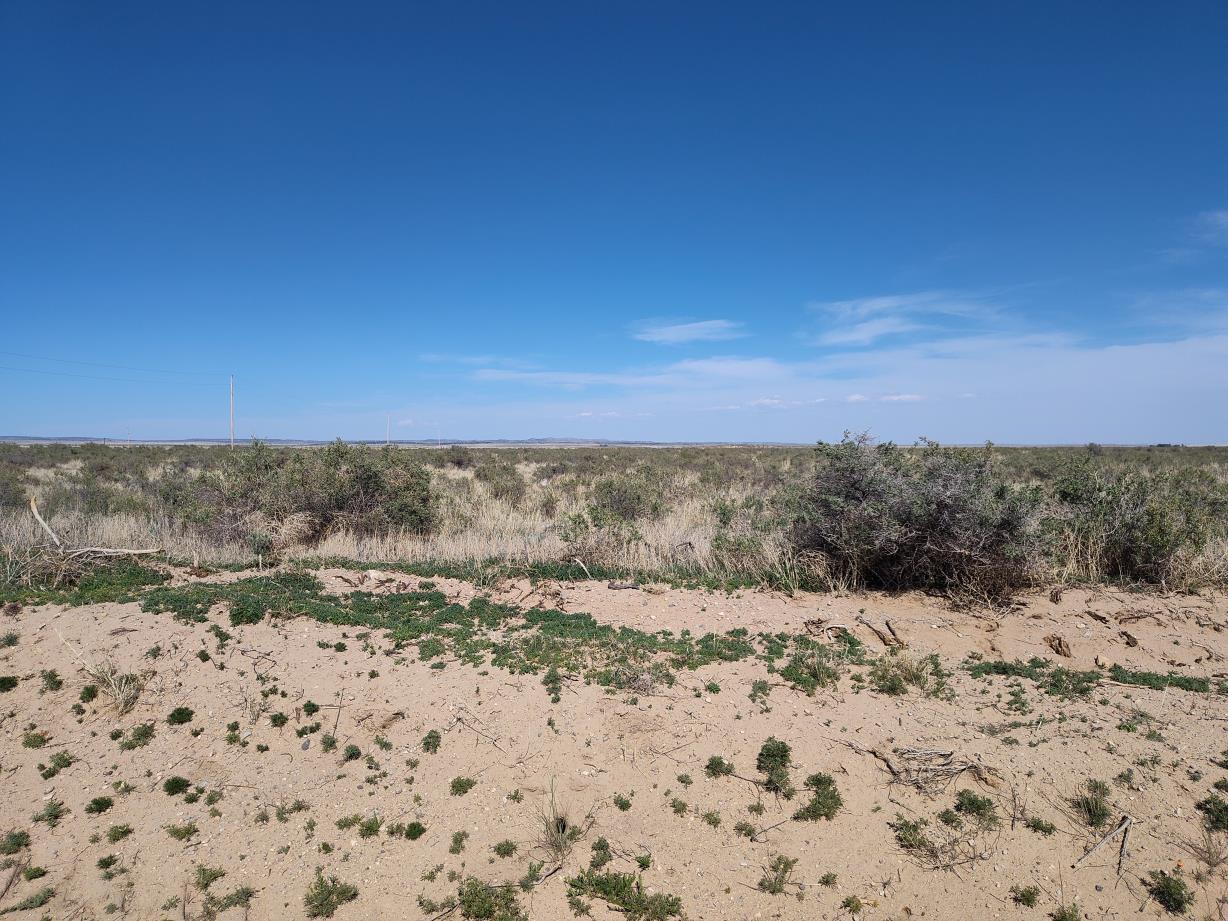 Homes for sale in Mc Intosh, NM | Ice Plant Ct, Mc Intosh, NM 87035 | MLS# 1084835