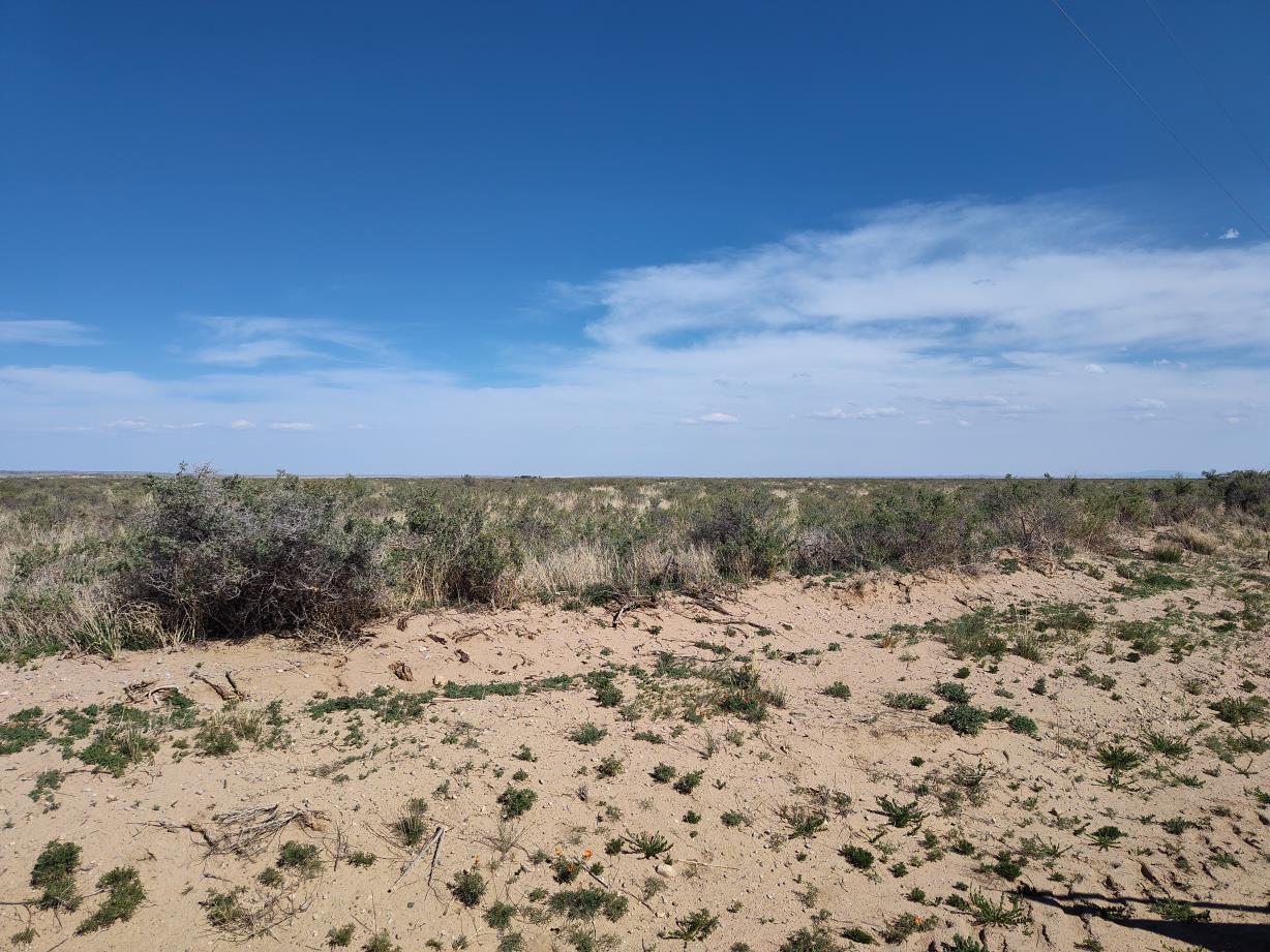 Homes for sale in Mc Intosh, NM | Ice Plant Ct, Mc Intosh, NM 87035 | MLS# 1084835