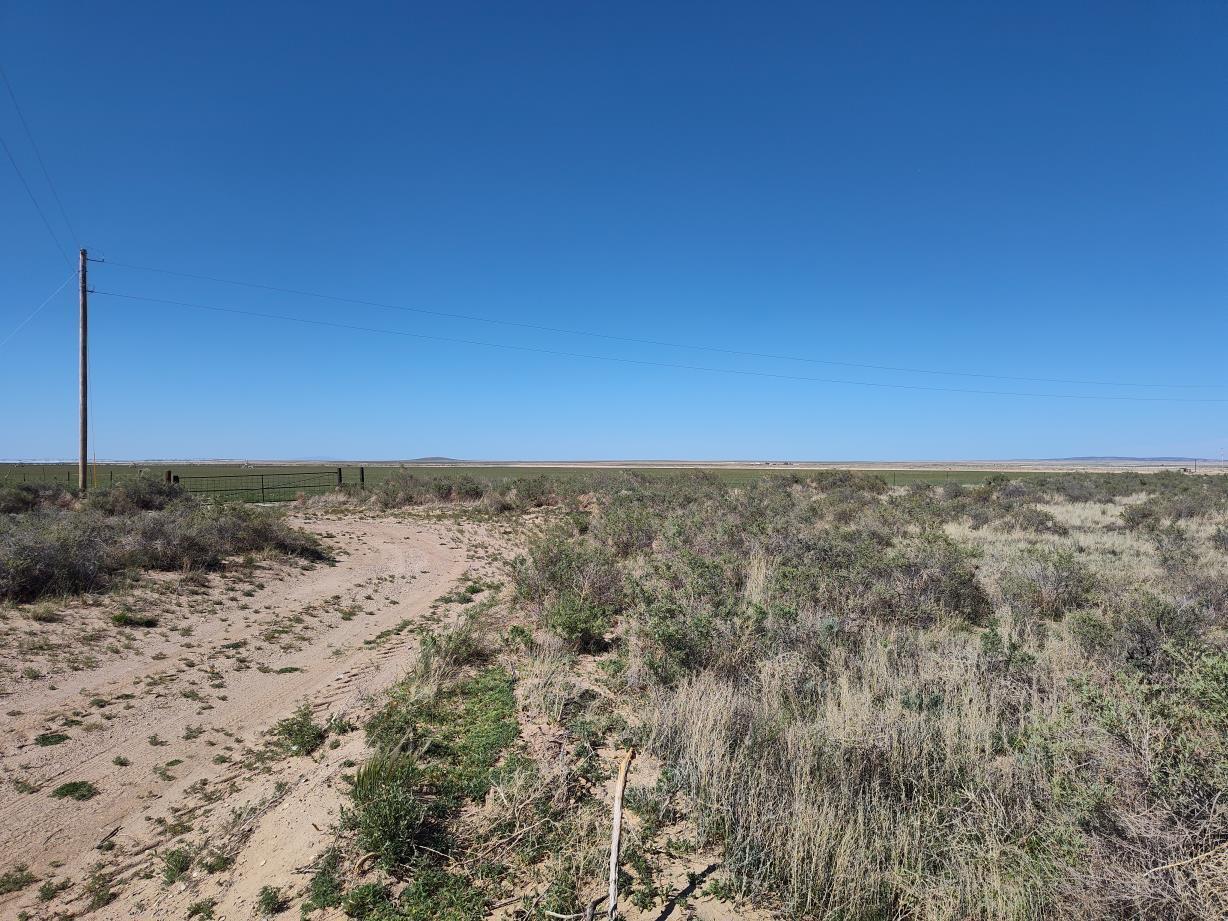 Homes for sale in Mc Intosh, NM | Ice Plant Ct, Mc Intosh, NM 87035 | MLS# 1084835