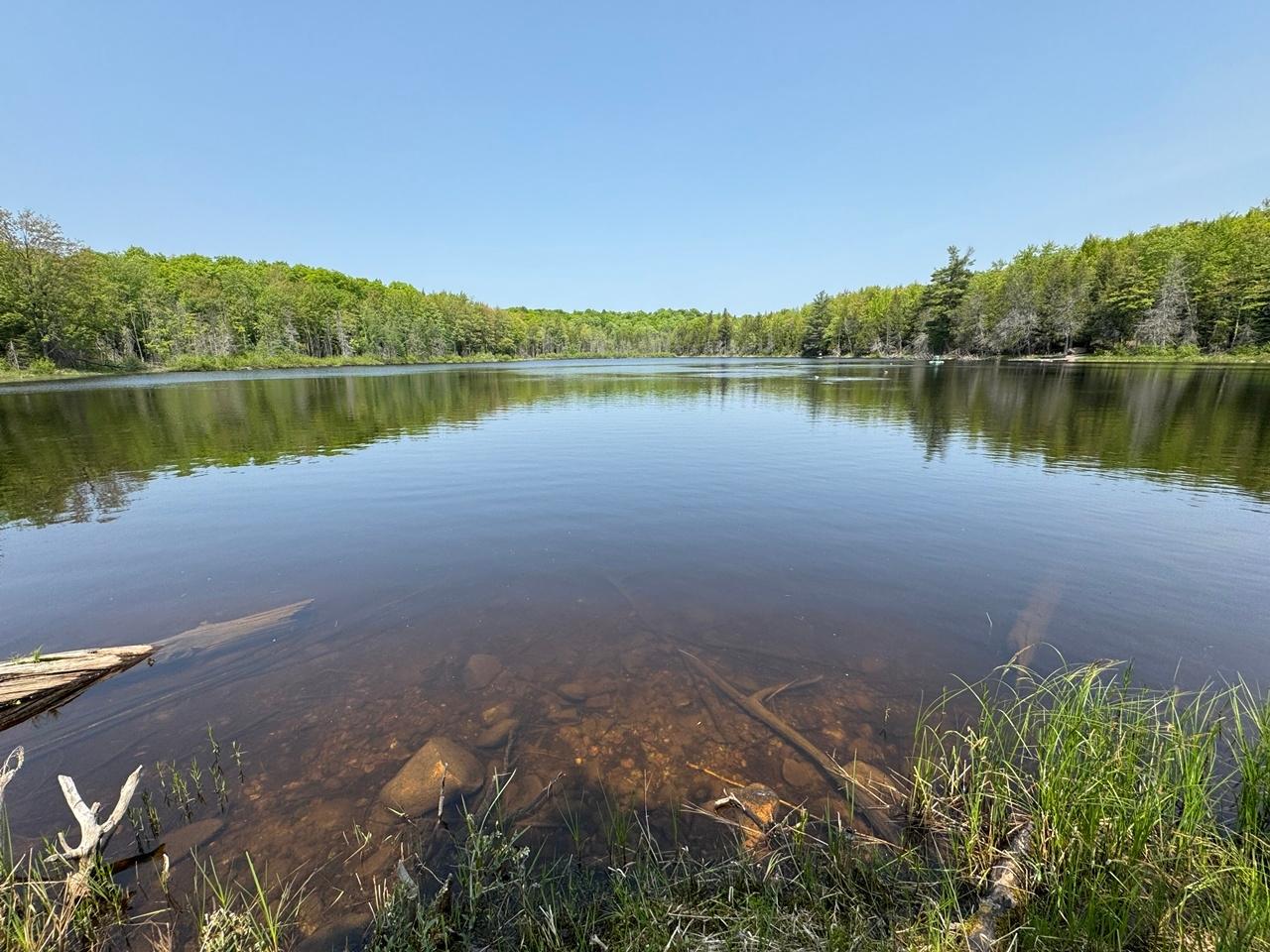 Undocumented Lake lot picture