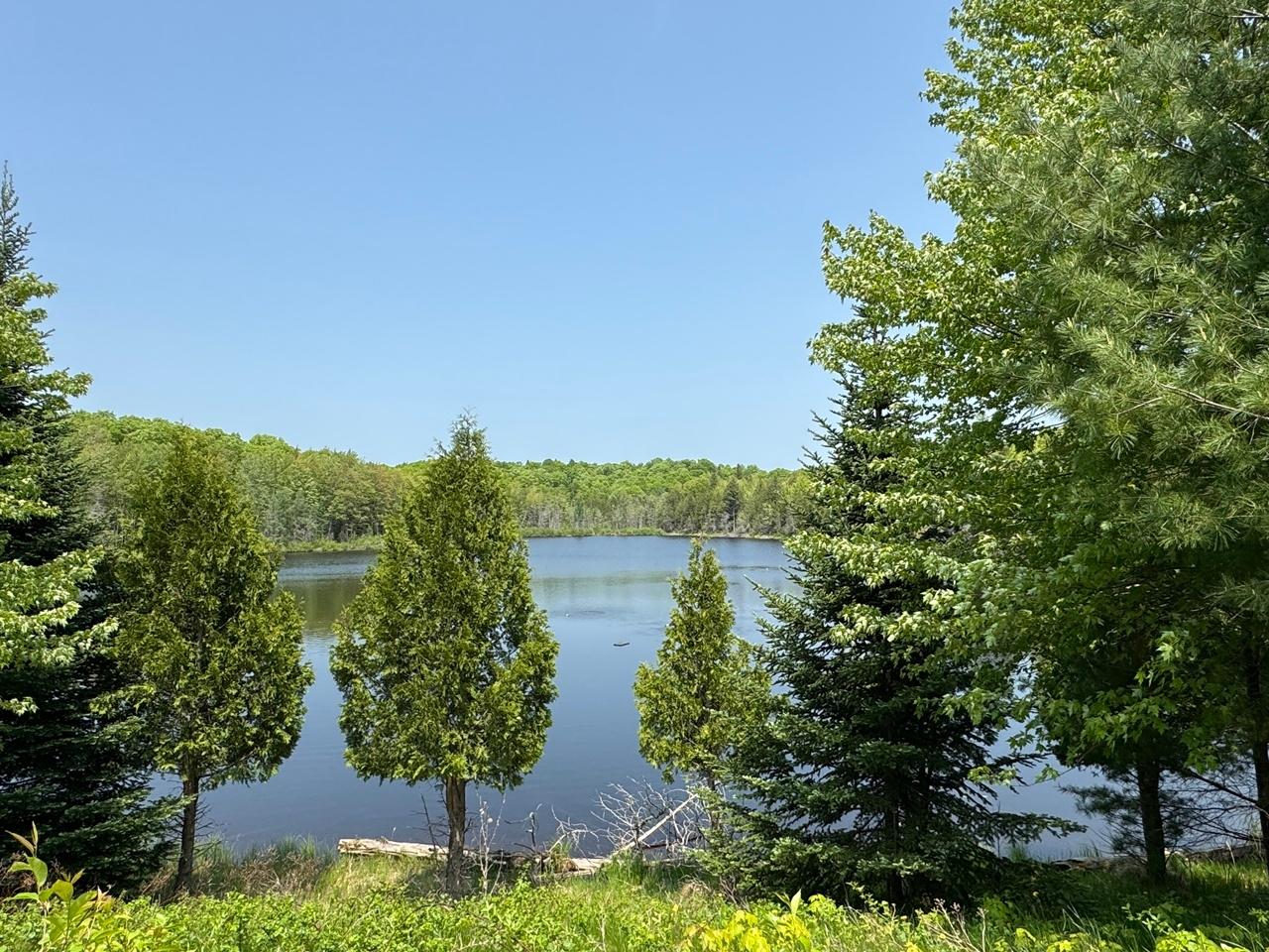 Undocumented Lake Property 8677N Davis Rd Photo 10