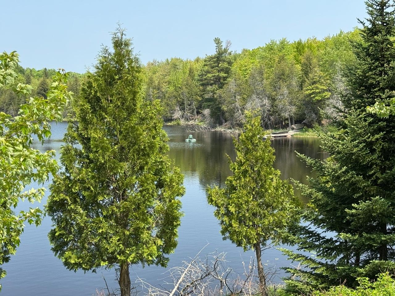 Undocumented Lake Property 8677N Davis Rd Photo 12