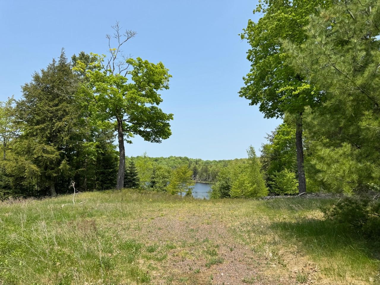 Undocumented Lake Property 8677N Davis Rd Photo 14