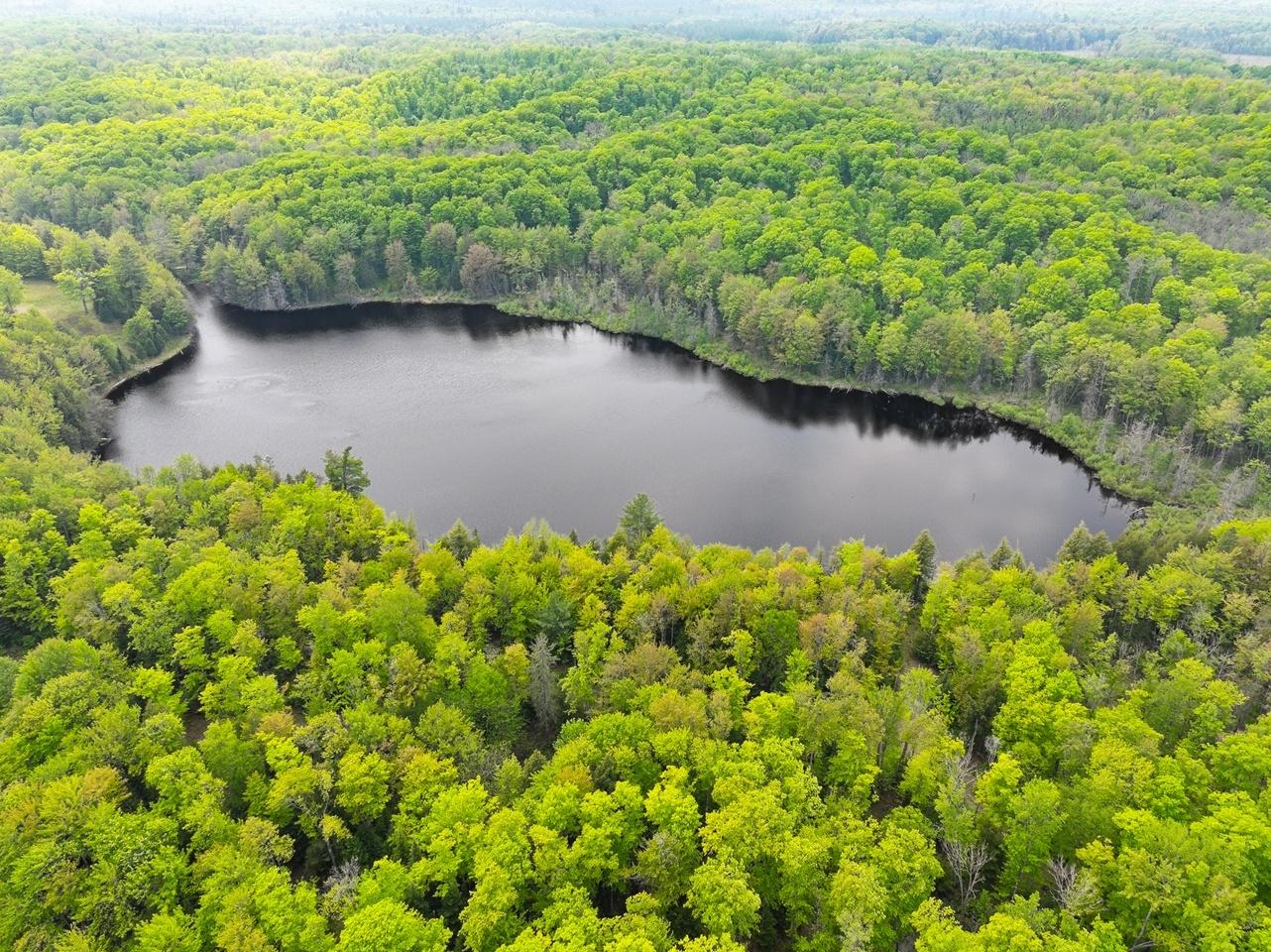 Undocumented Lake Property 8677N Davis Rd Photo 2