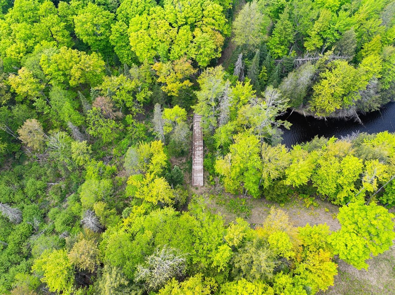 Undocumented Lake Property 8677N Davis Rd Photo 21