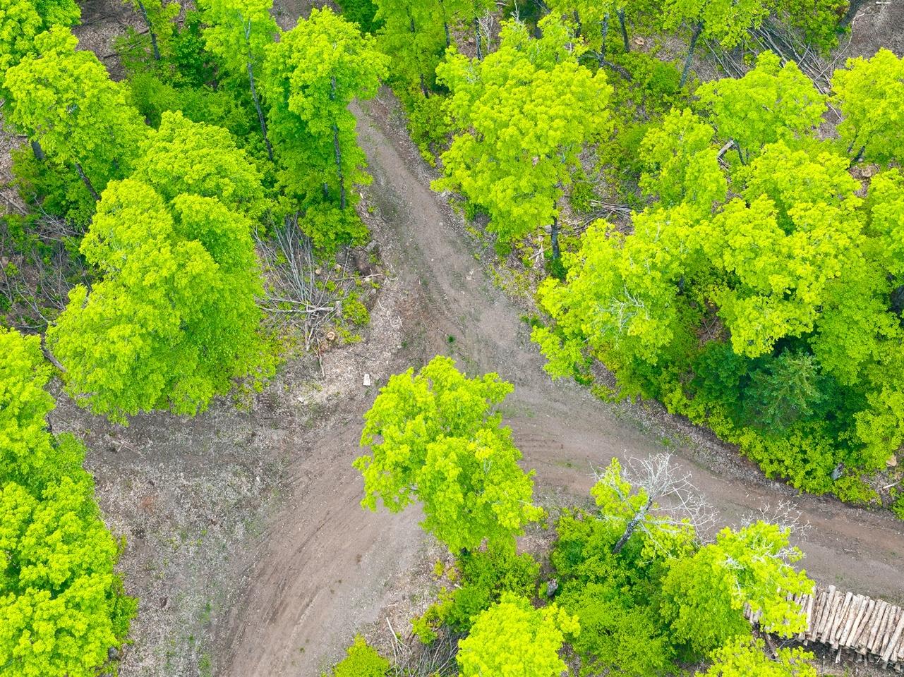 Undocumented Lake Property 8677N Davis Rd Photo 26