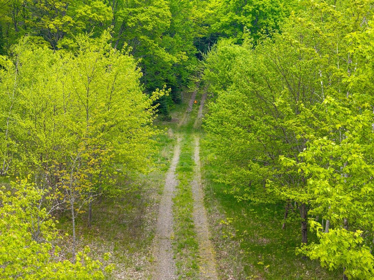 Undocumented Lake Property 8677N Davis Rd Photo 27