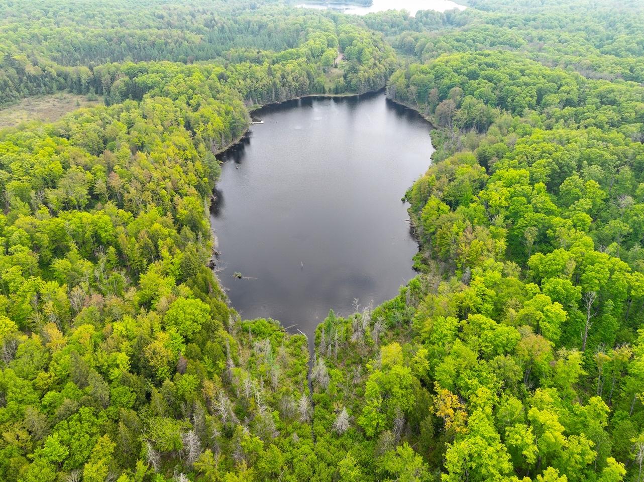 Undocumented Lake Property 8677N Davis Rd Photo 3