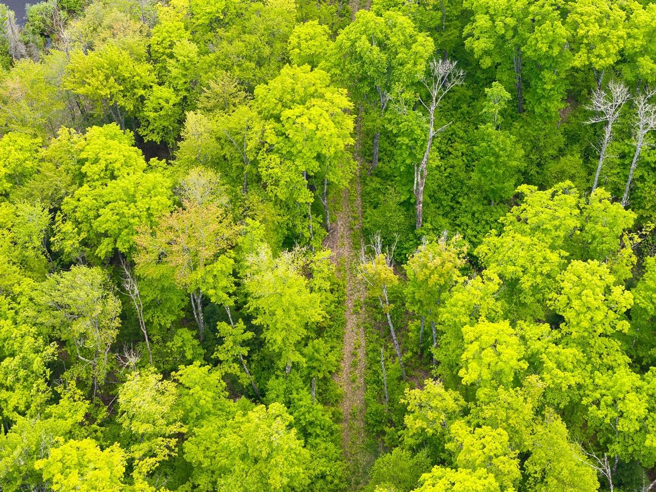 Undocumented Lake Property 8677N Davis Rd Photo 30