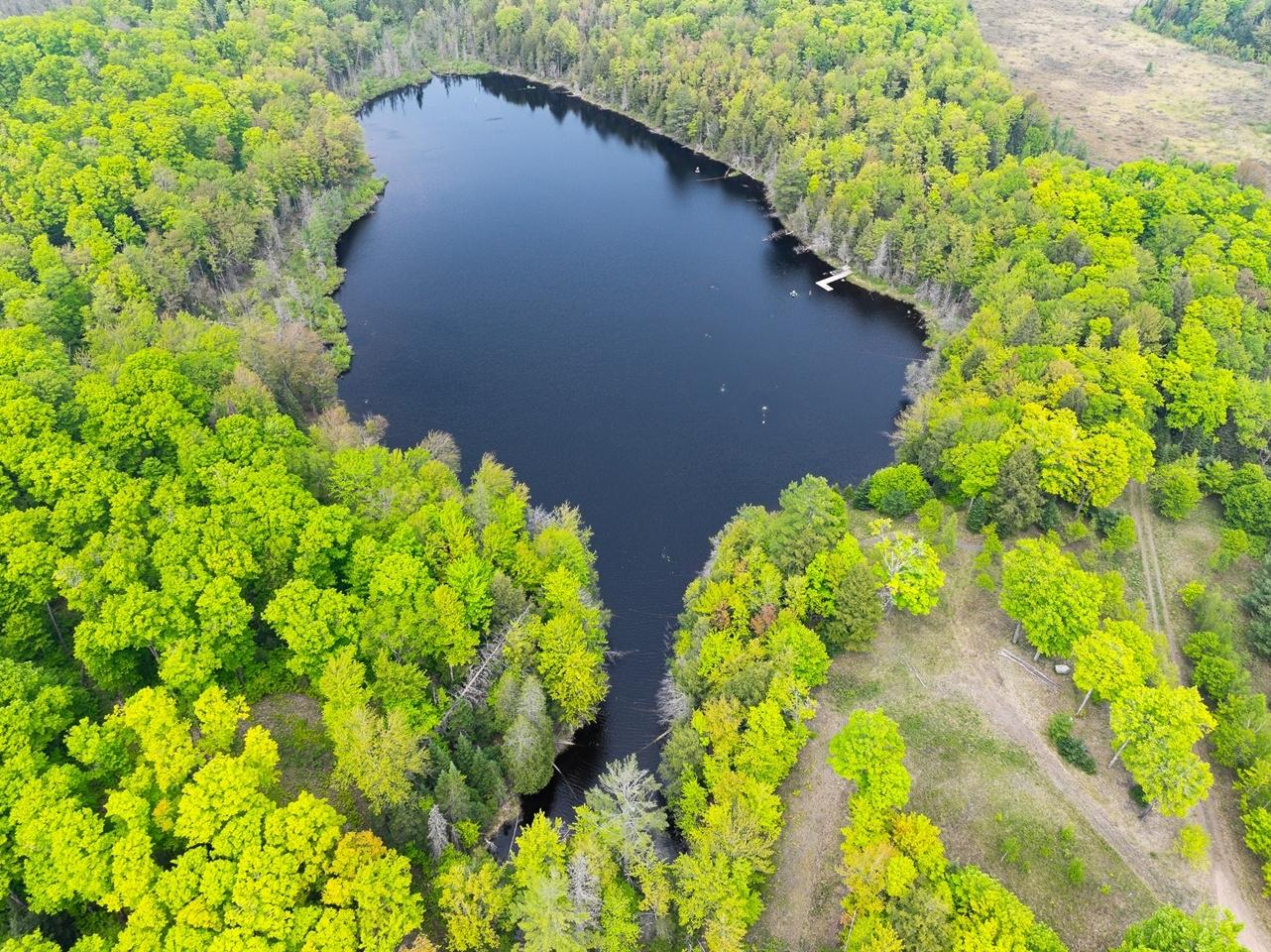 Undocumented Lake Property 8677N Davis Rd Photo 31