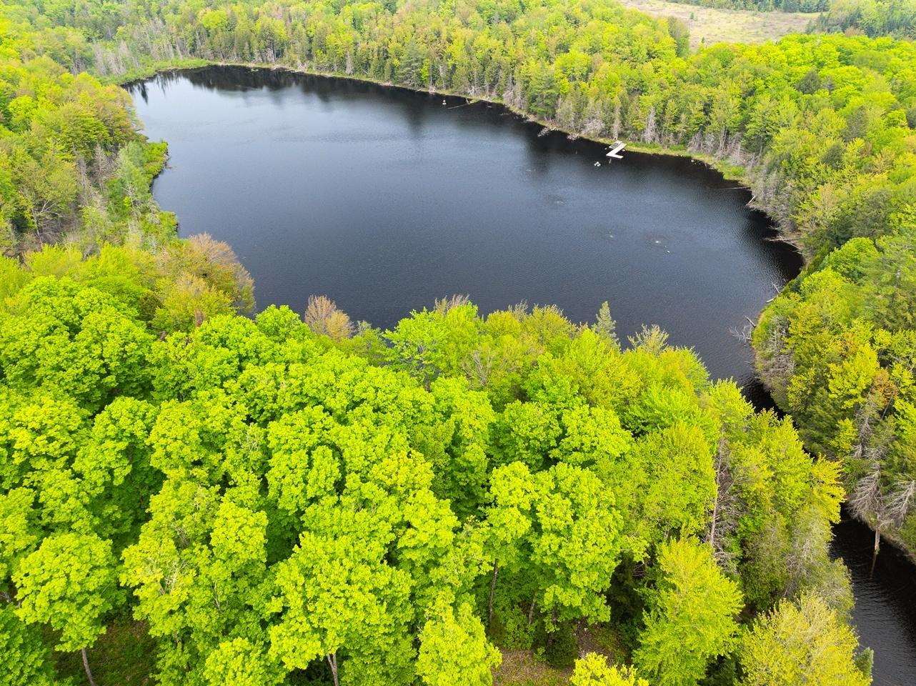 Undocumented Lake Property 8677N Davis Rd Photo 32
