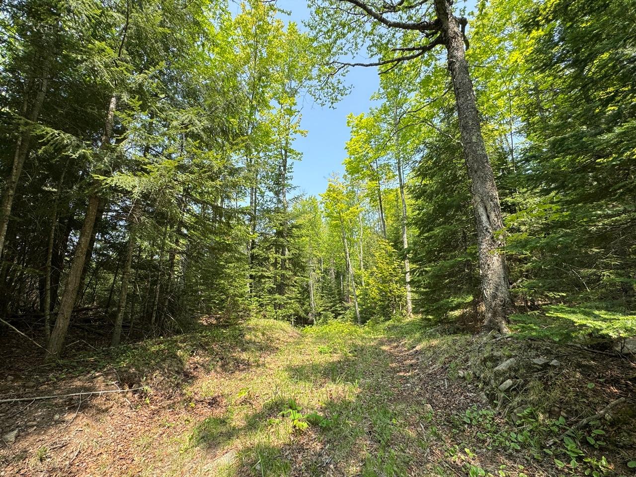 Undocumented Lake Property 8677N Davis Rd Photo 33