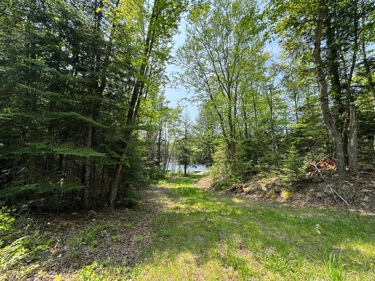 Undocumented Lake Property 8677N Davis Rd Photo 34