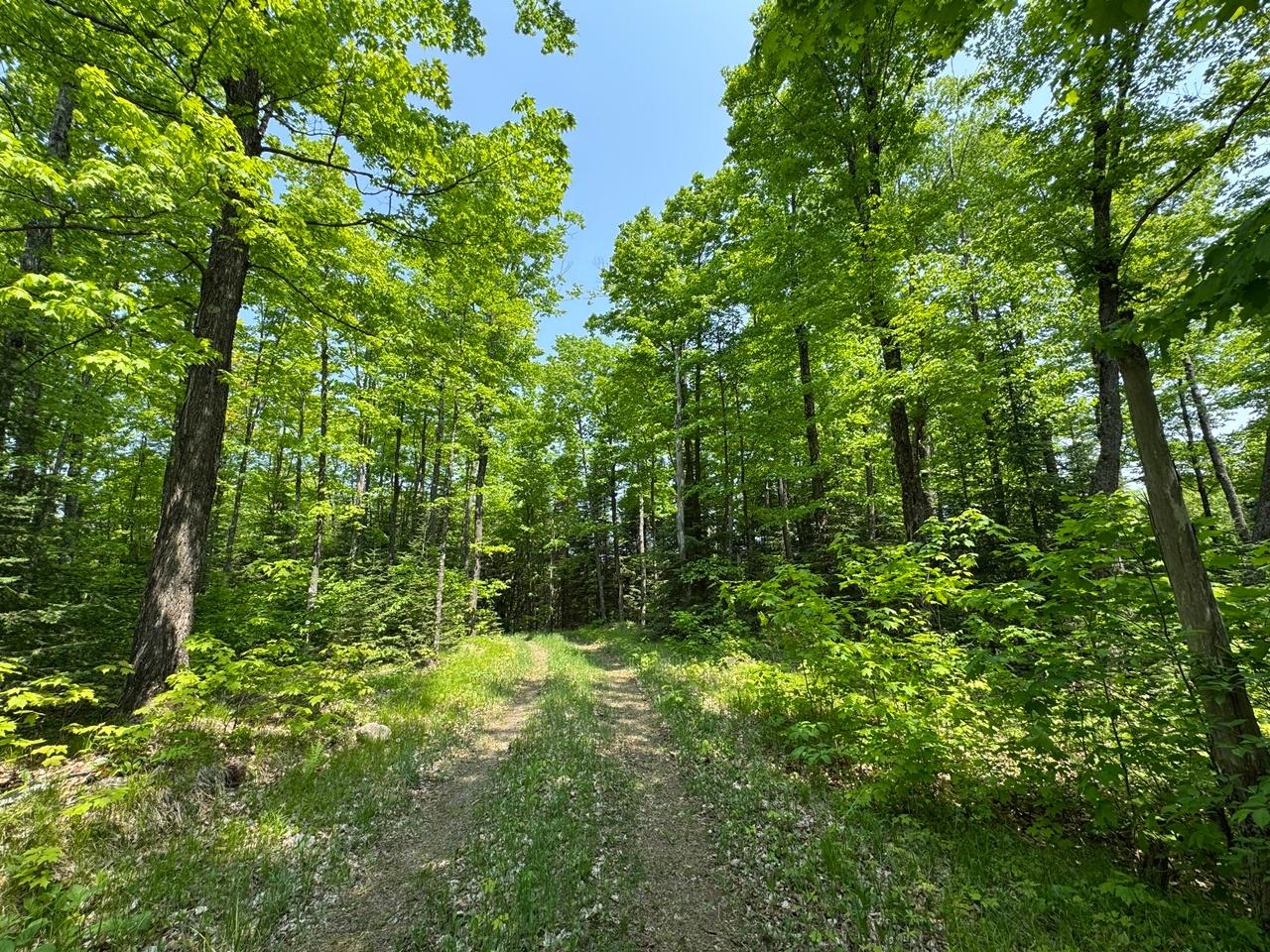 Undocumented Lake Property 8677N Davis Rd Photo 35