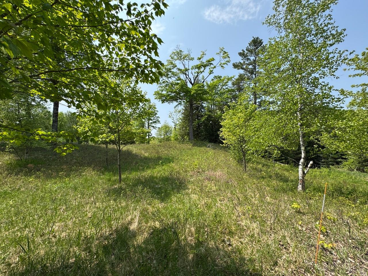 Undocumented Lake Property 8677N Davis Rd Photo 37