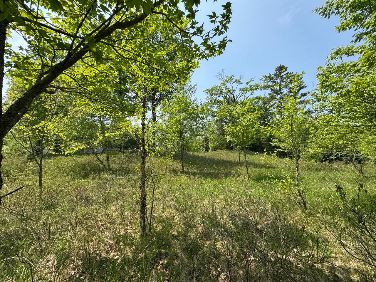 Undocumented Lake Property 8677N Davis Rd Photo 38