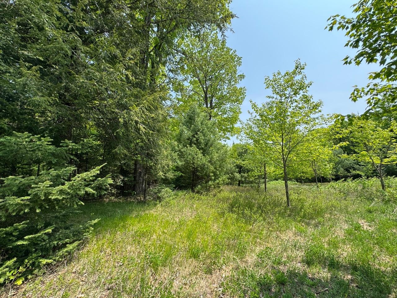 Undocumented Lake Property 8677N Davis Rd Photo 39