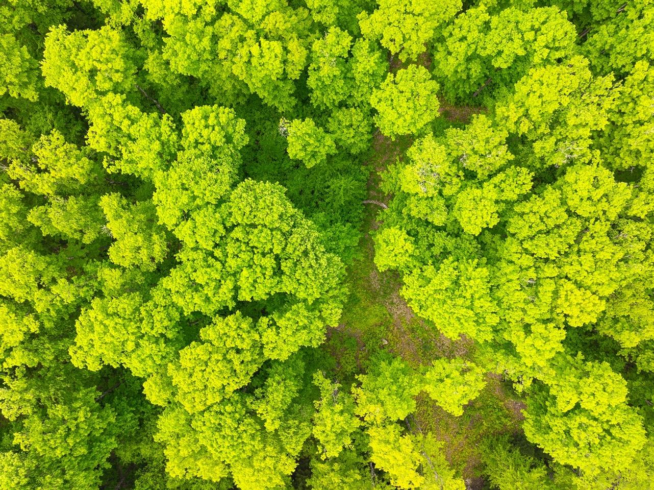 Undocumented Lake Property 8677N Davis Rd Photo 42