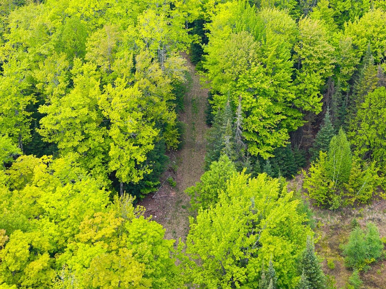 Undocumented Lake Property 8677N Davis Rd Photo 43