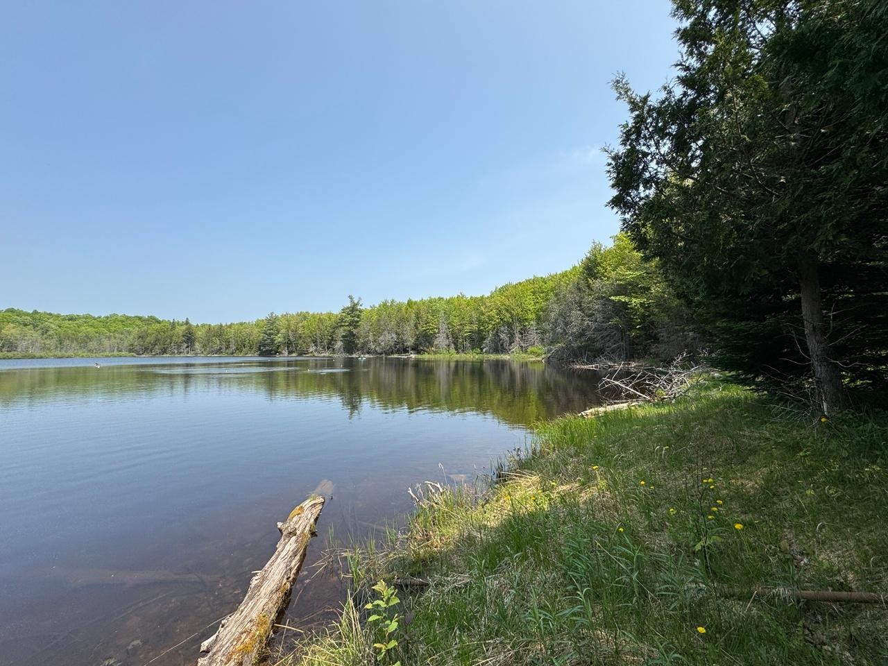 Undocumented Lake Property 8677N Davis Rd Photo 44