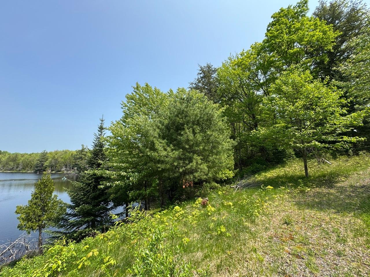 Undocumented Lake Property 8677N Davis Rd Photo 45