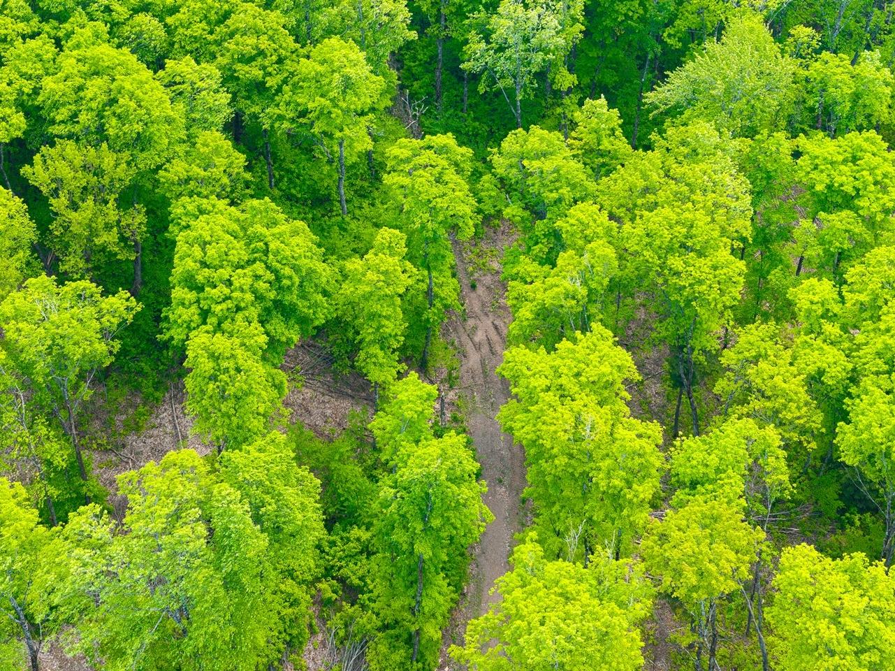 Undocumented Lake Property 8677N Davis Rd Photo 46