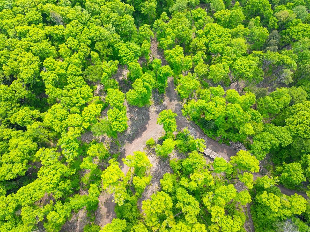 Undocumented Lake Property 8677N Davis Rd Photo 47