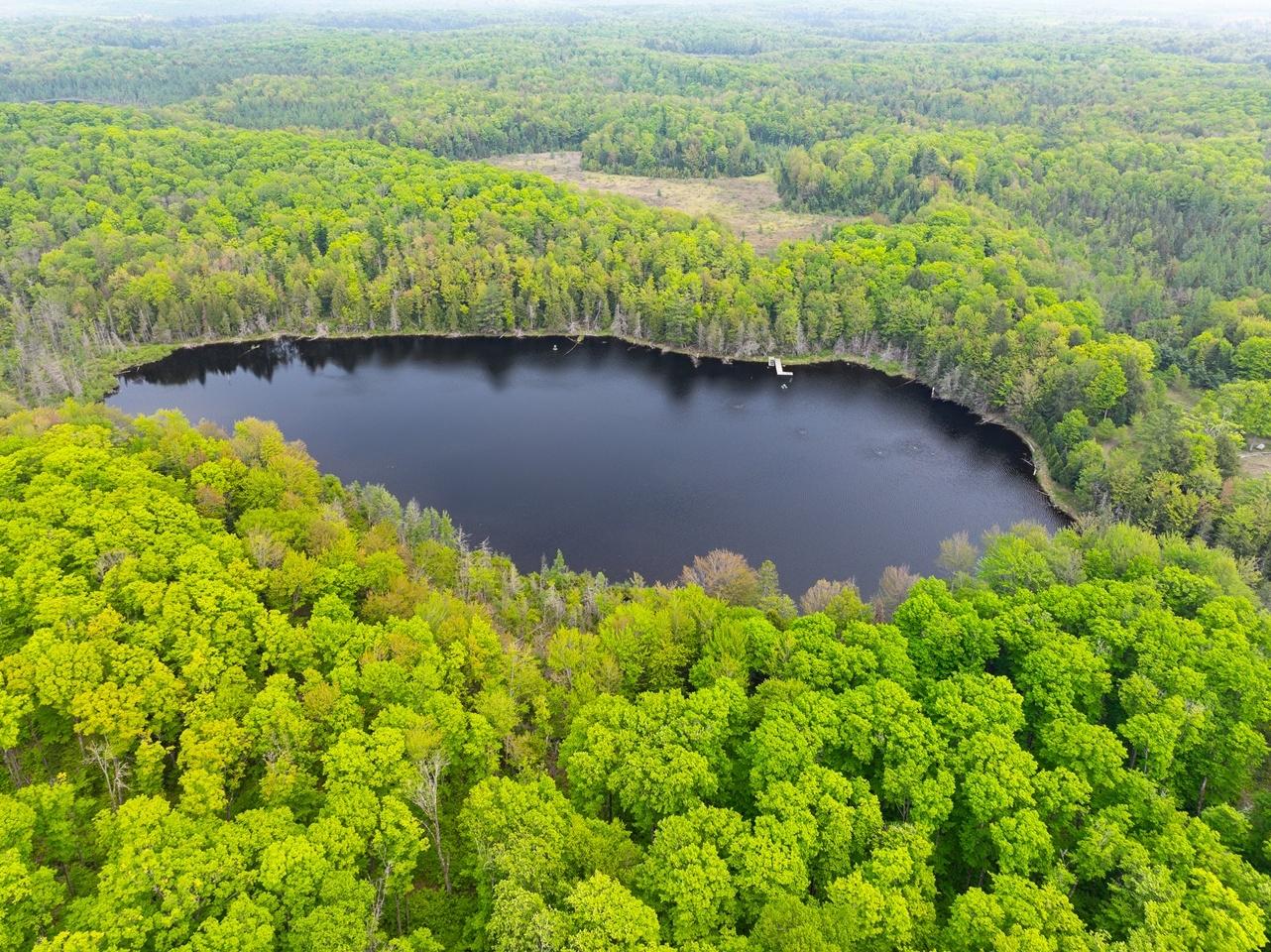 Undocumented Lake Property 8677N Davis Rd Photo 48