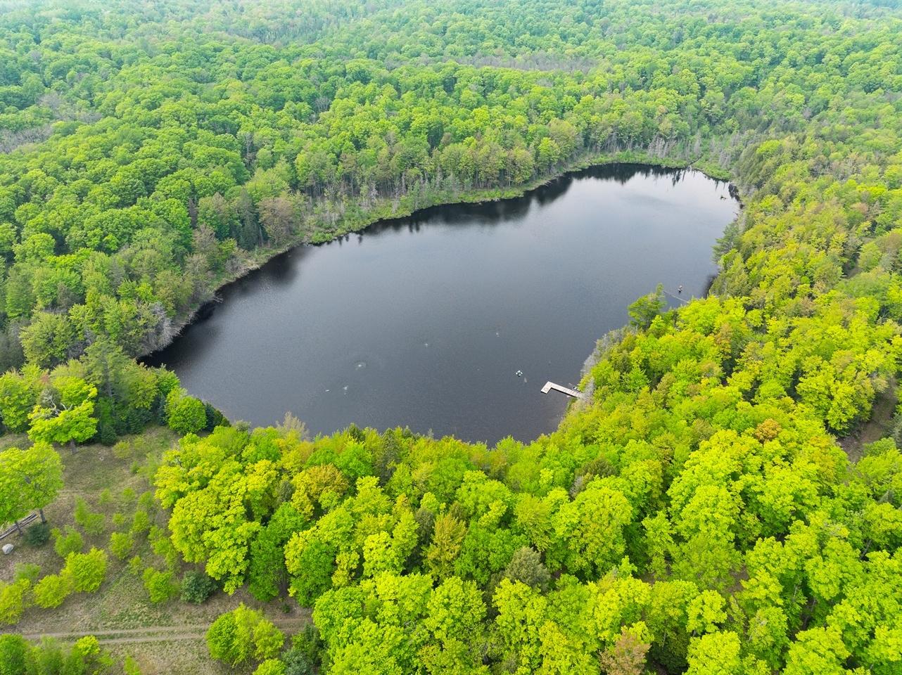 Undocumented Lake Property 8677N Davis Rd Photo 49