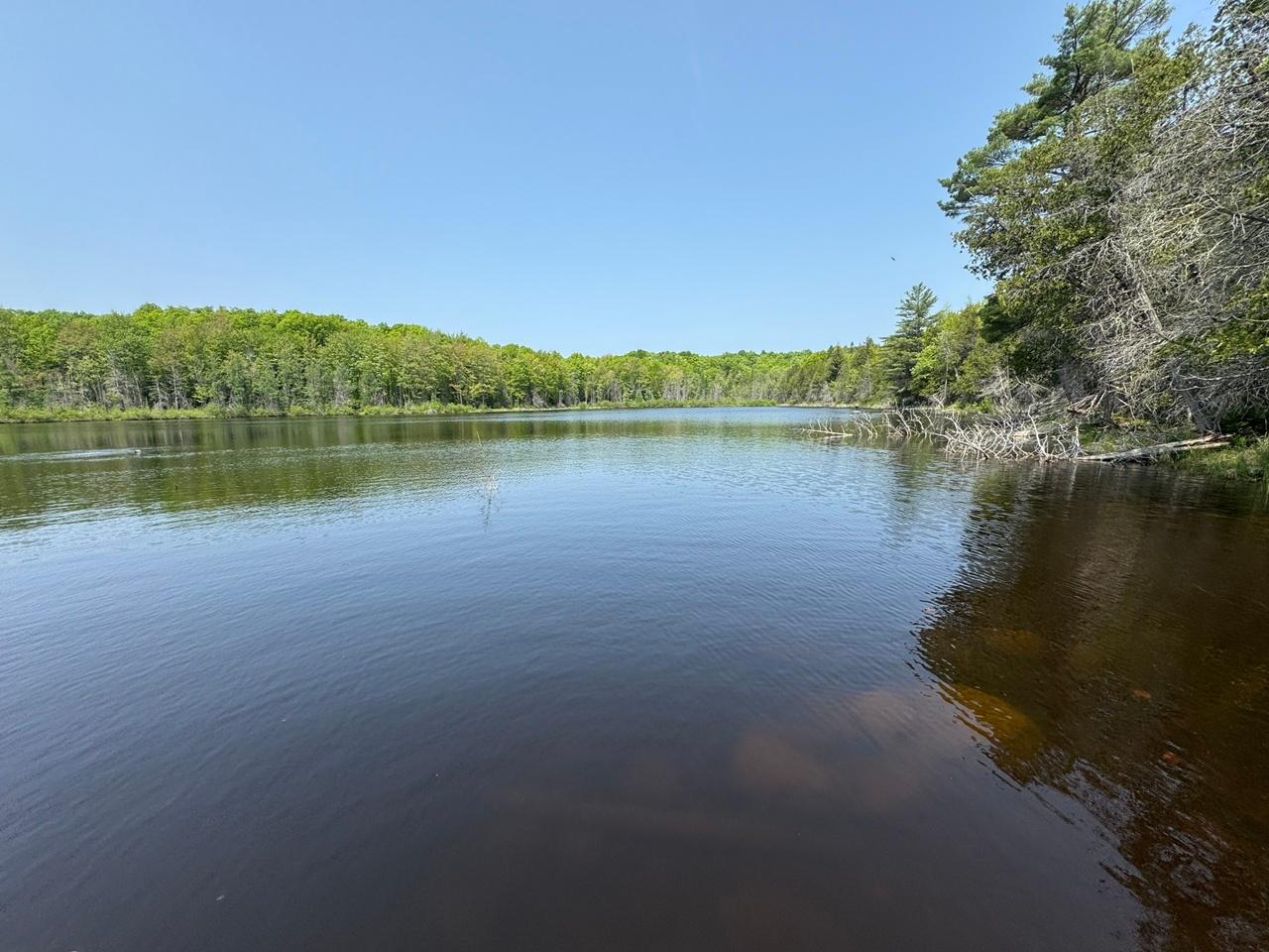 Undocumented Lake Property 8677N Davis Rd Photo 6