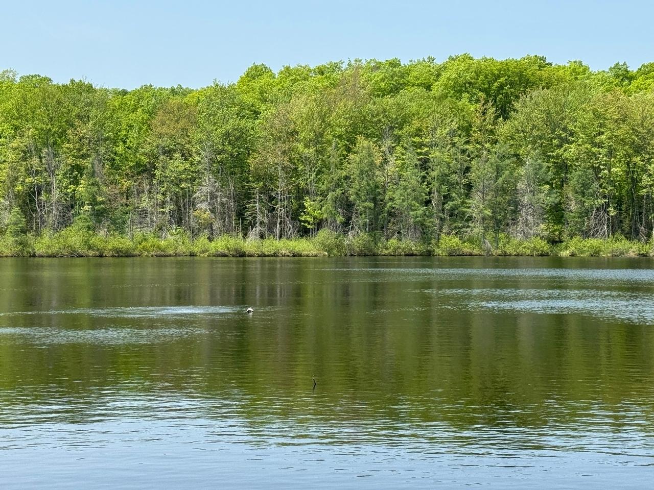 Undocumented Lake Property 8677N Davis Rd Photo 9