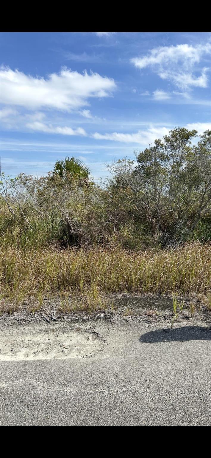 Port Malabar Unit 51