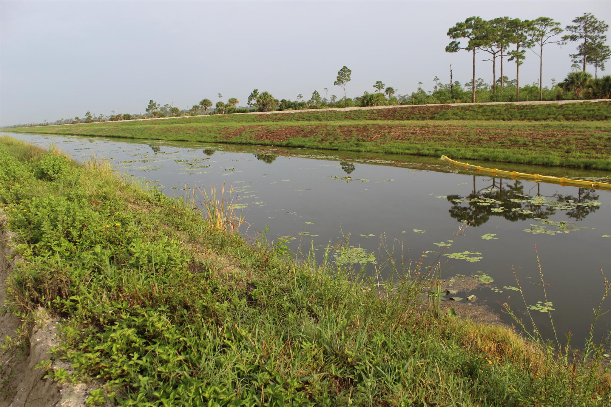 Homes for sale in Loxahatchee, FL | ''17395'' 94th Street N, Loxahatchee, FL 33470 | MLS# R11096070