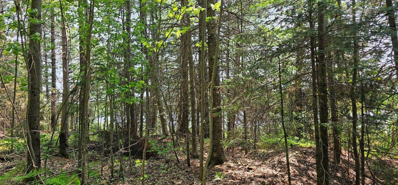 Grant Lake Property TBD off Deer Rd Photo 14