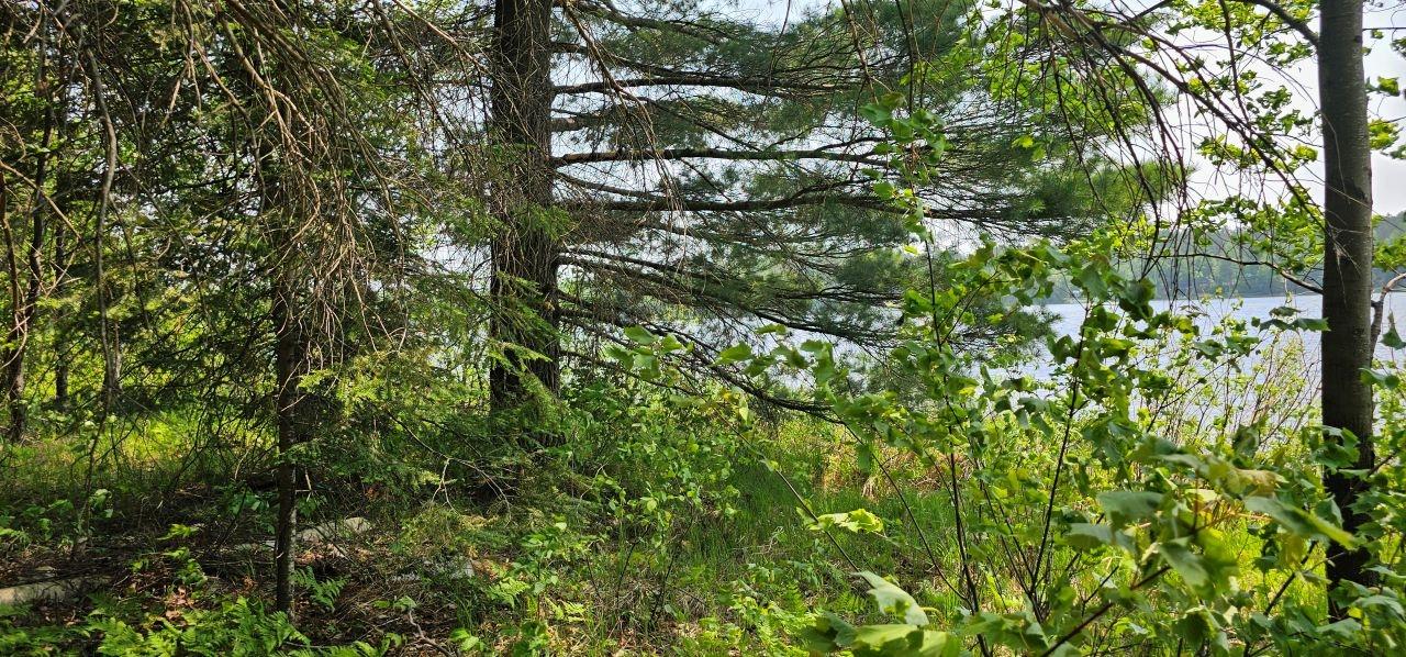 Undocumented Lake Property TBD off Deer Rd Photo 16