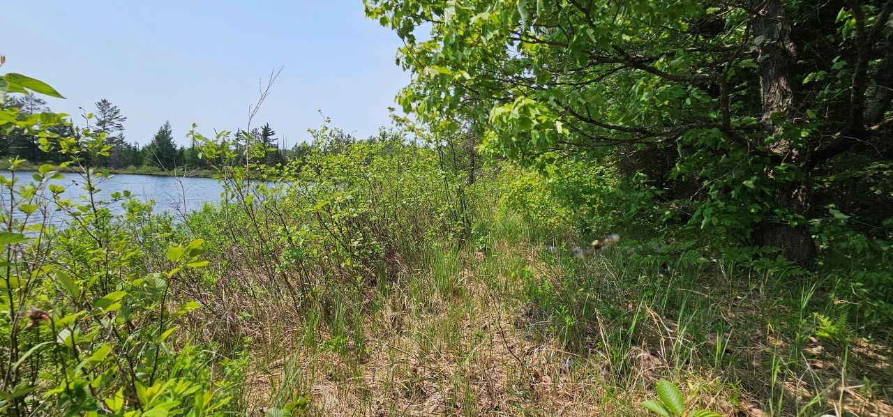 Undocumented Lake Property TBD off Deer Rd Photo 18