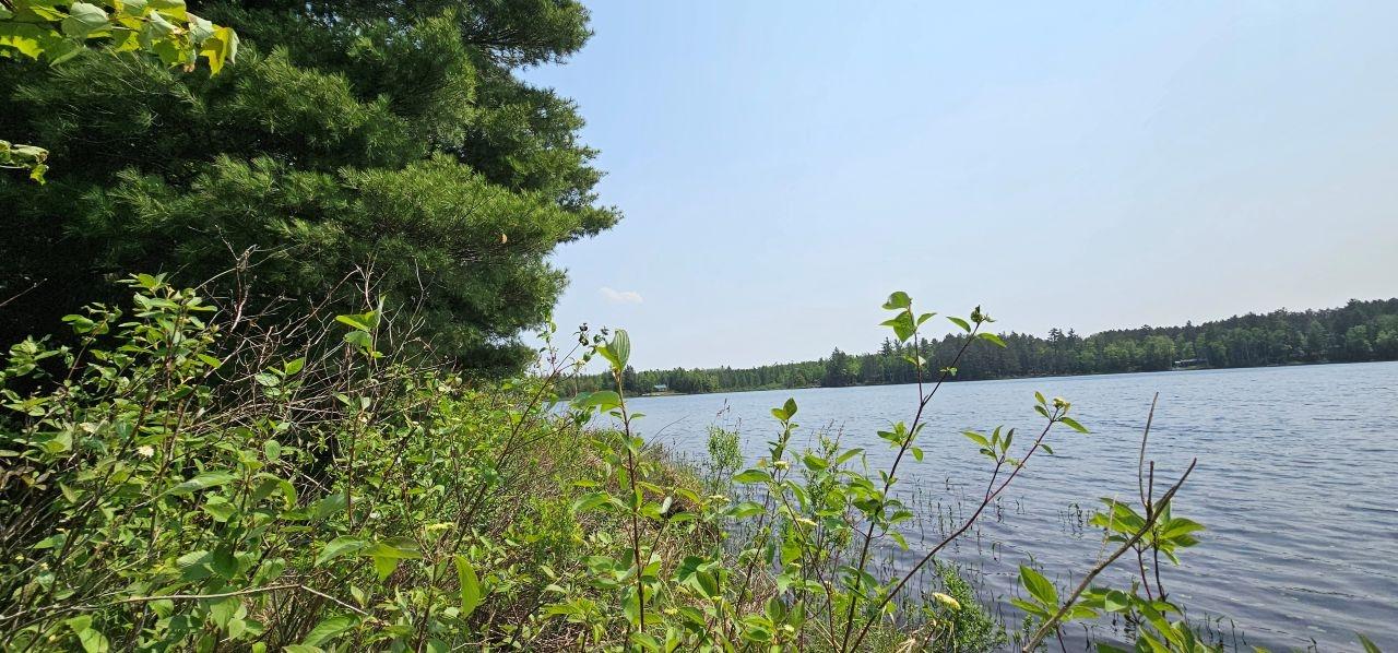 Undocumented Lake Property TBD off Deer Rd Photo 19